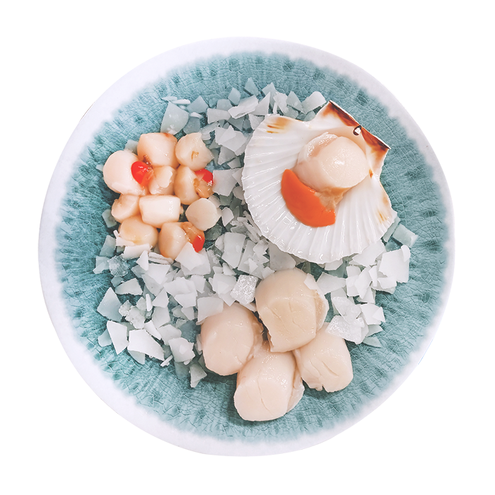 Noix de St Jacques Petoncle Ecosse