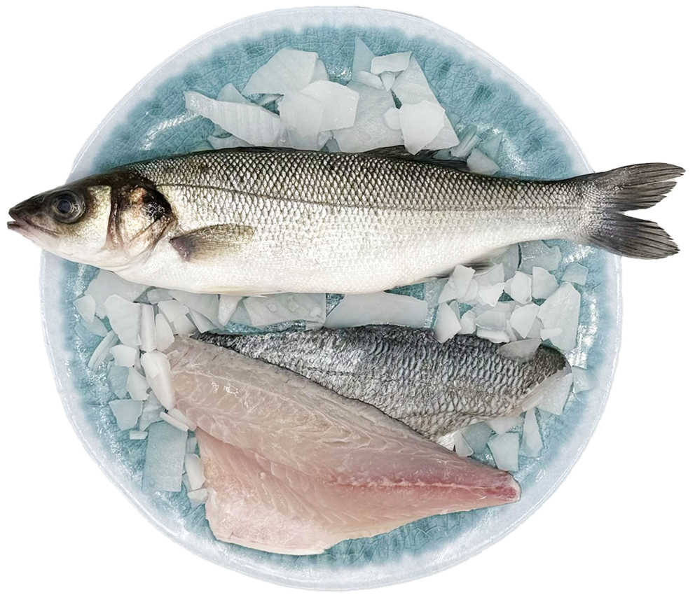 Sea bass & gilthead sea bream