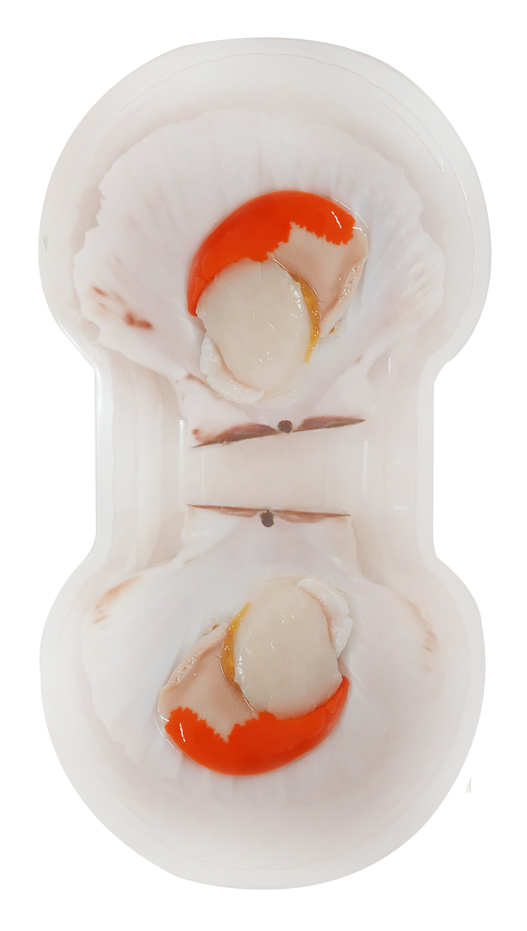 Saint Jacques et Pétoncle Ecossaise