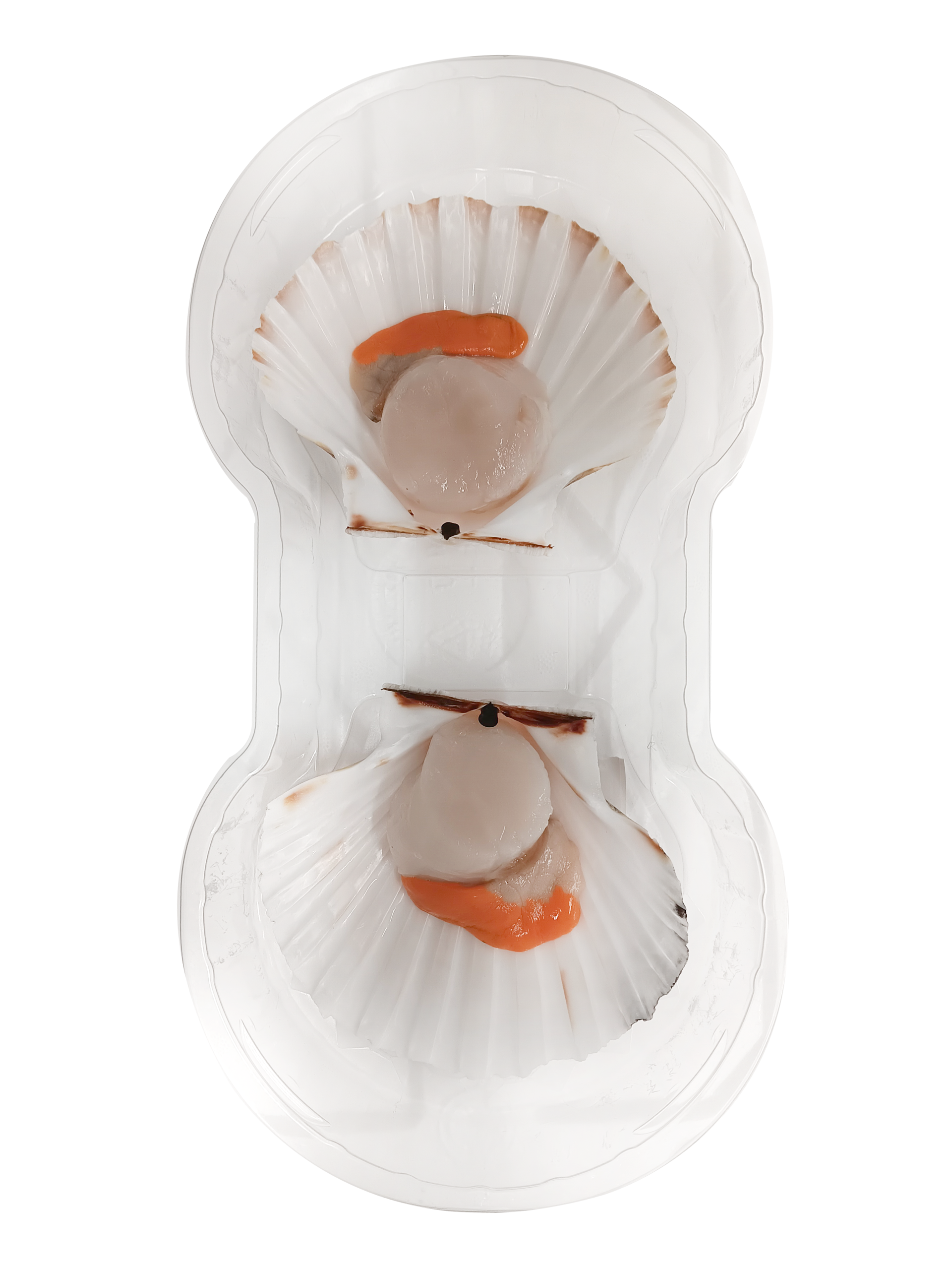 Noix de St Jacques Francaise