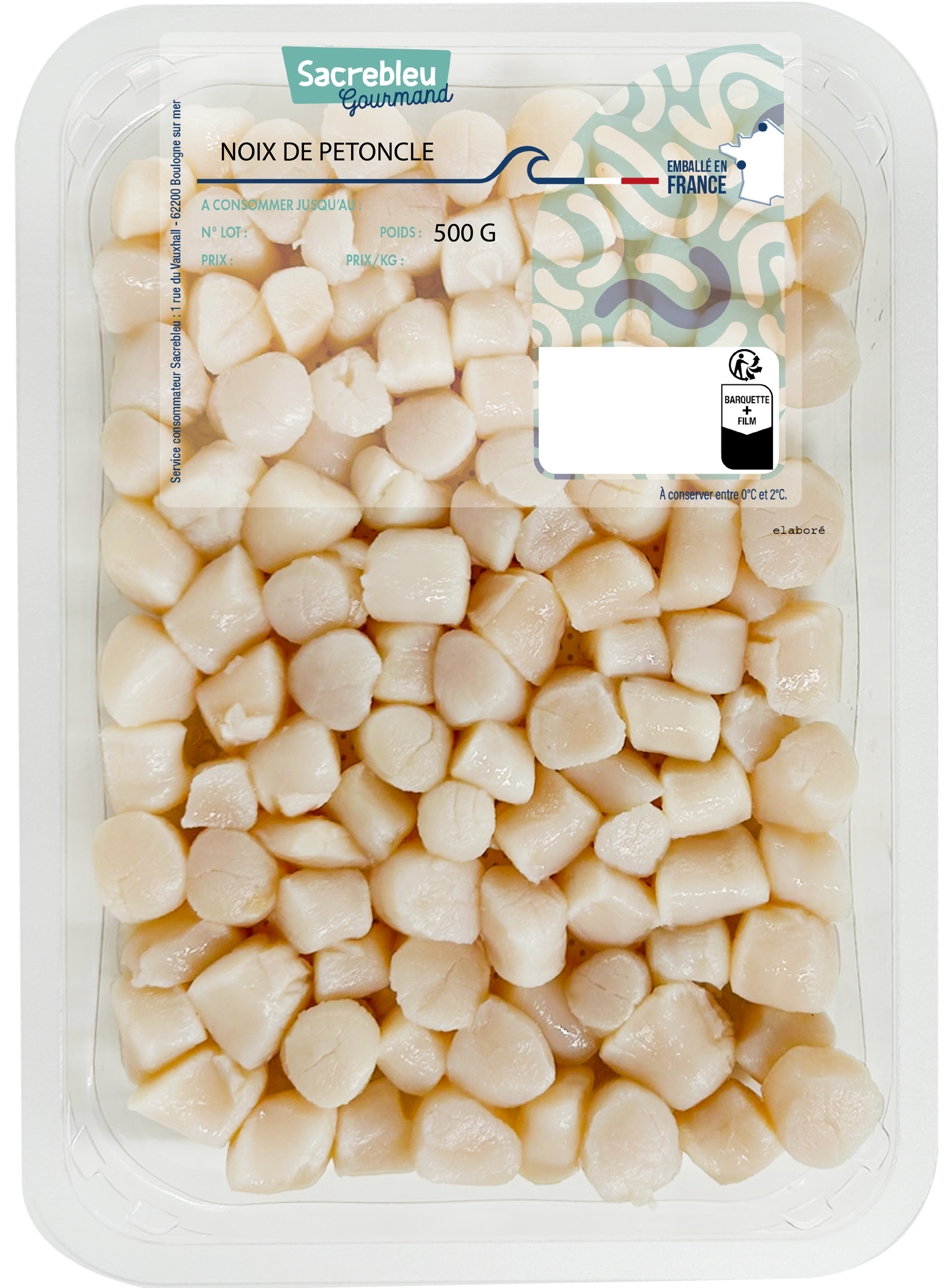 Saint Jacques et Pétoncle Ecossaise