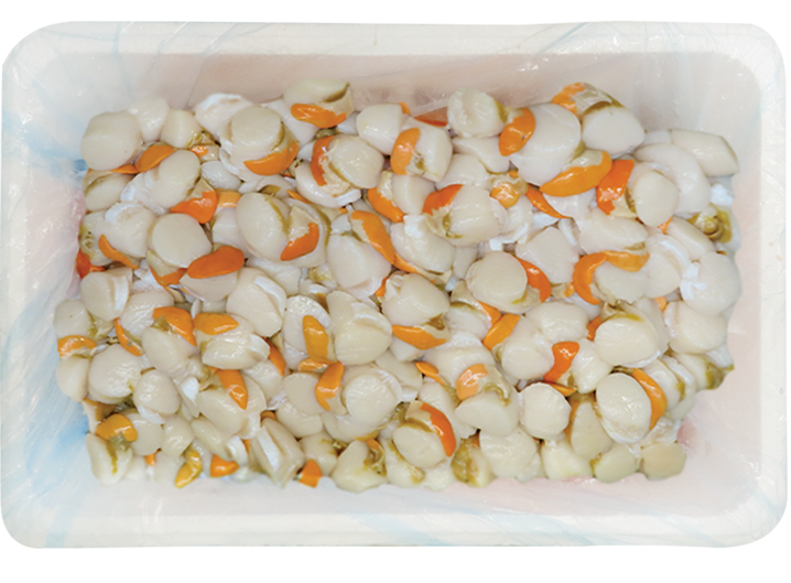 Noix de St Jacques Francaise