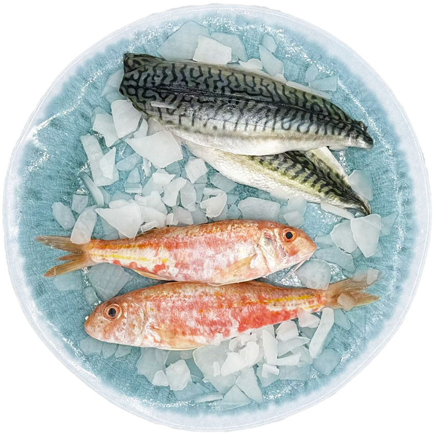 Diversité d’espèces