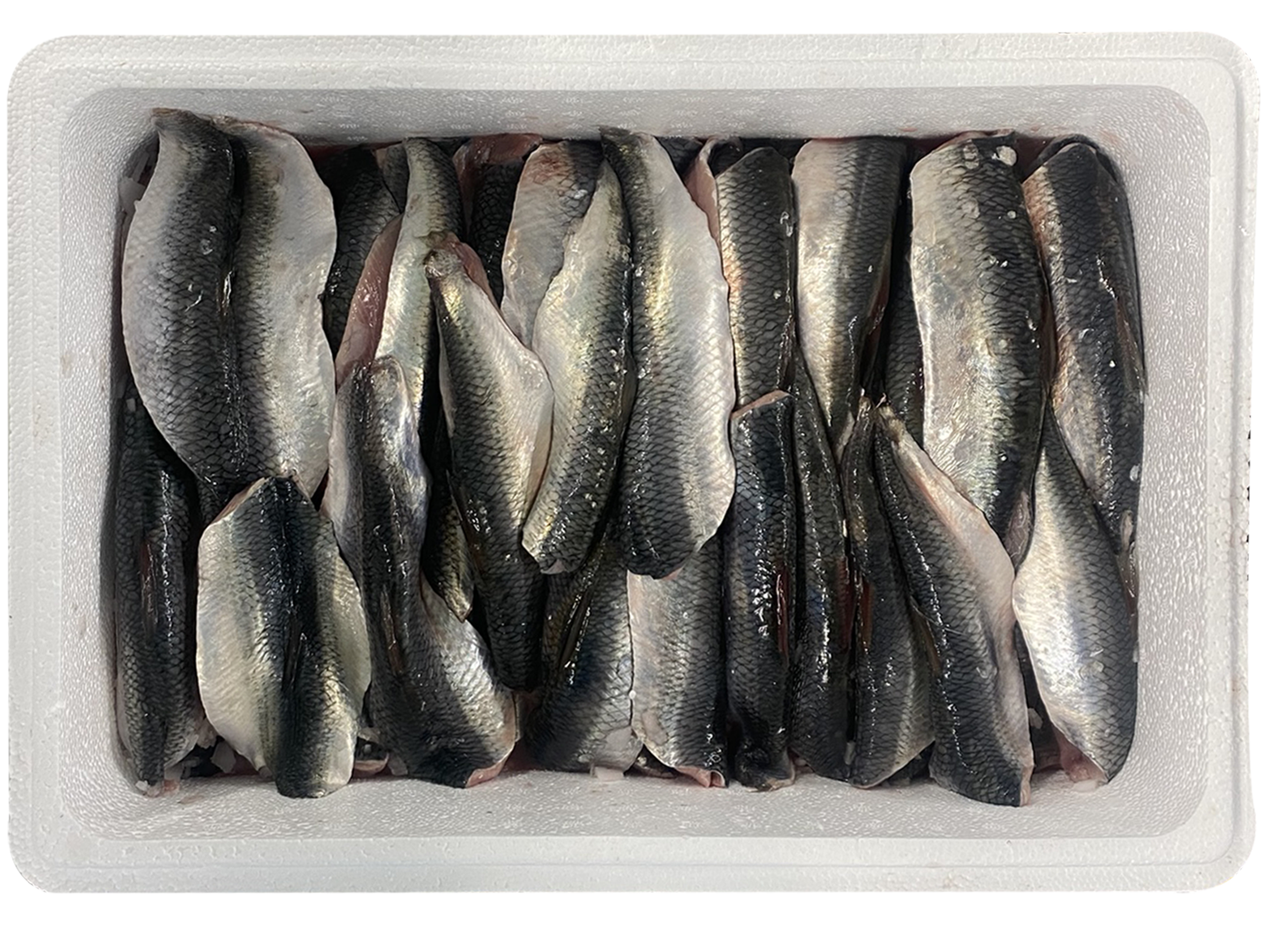 Diversité d’espèces