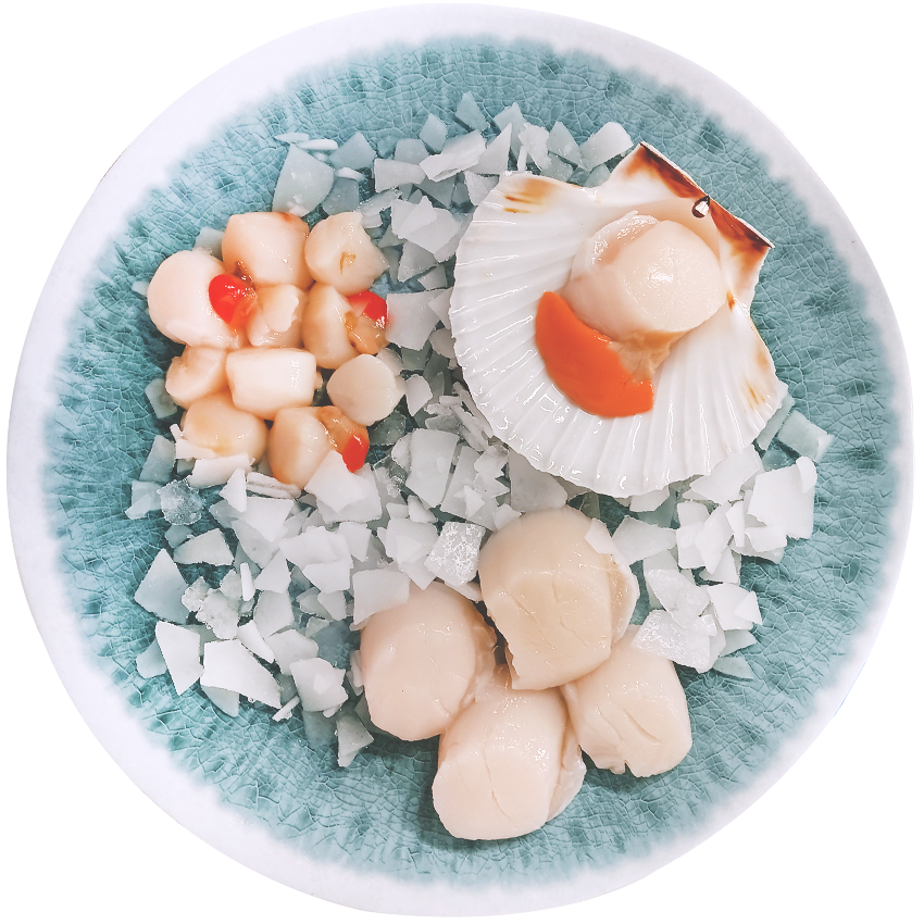 Saint Jacques et Pétoncle Ecossaise