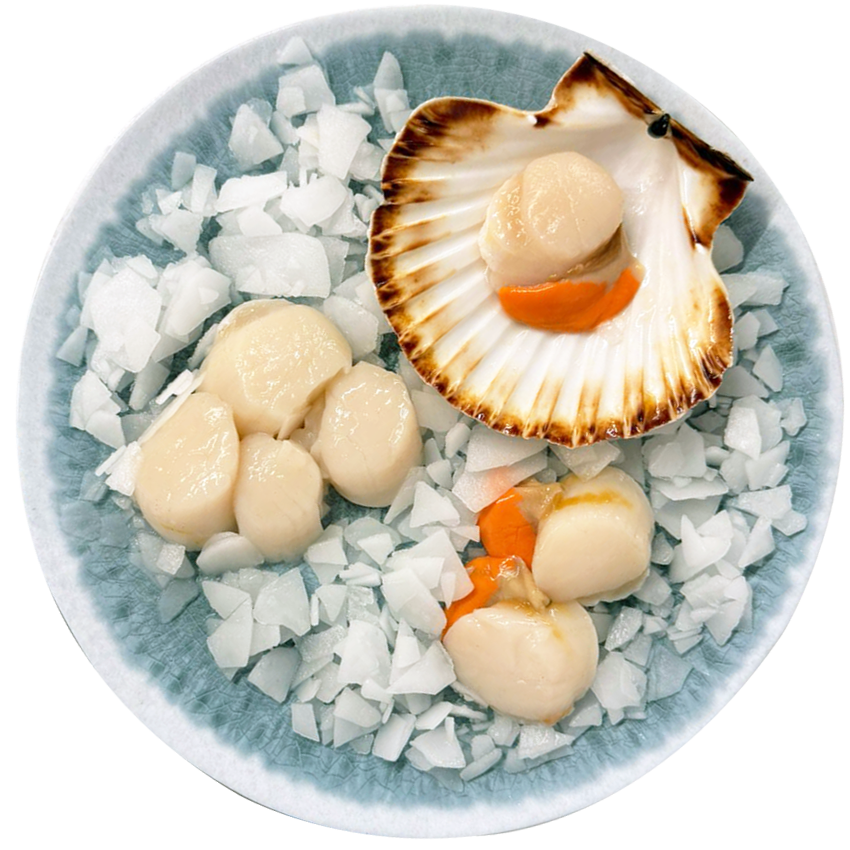 Noix de St Jacques Francaise