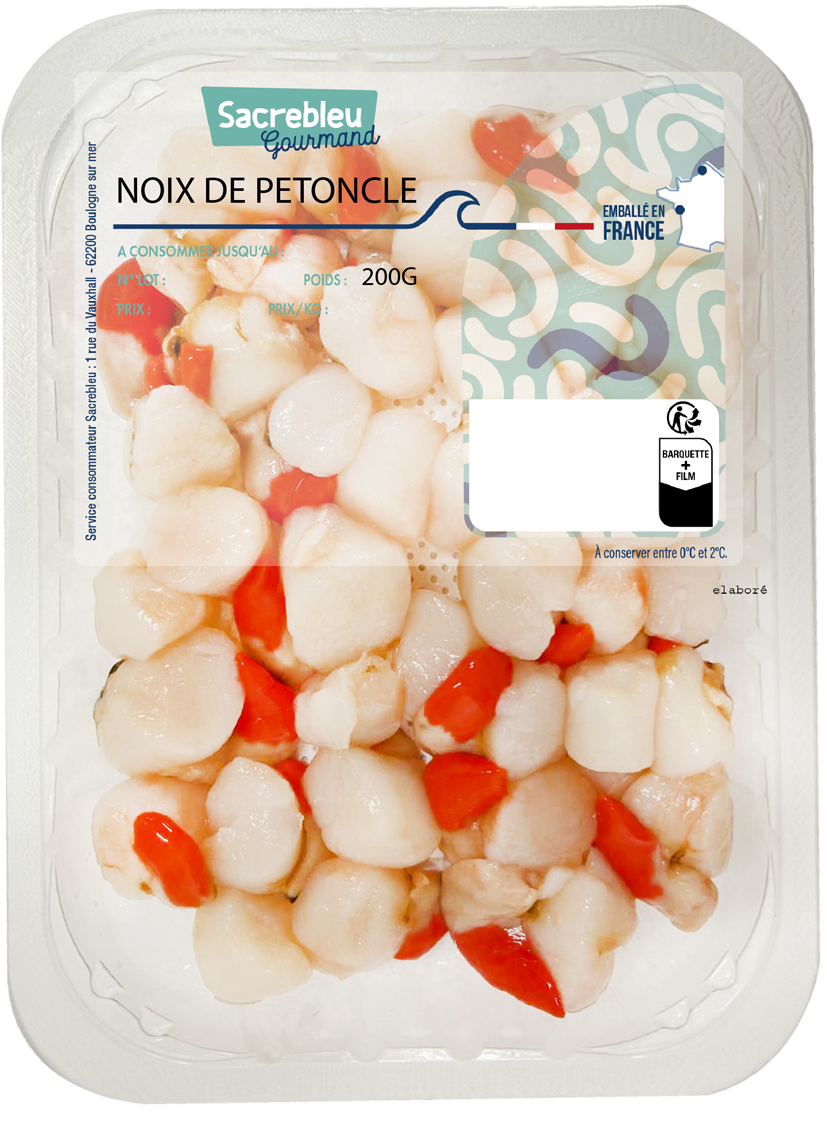 Saint Jacques et Pétoncle Ecossaise