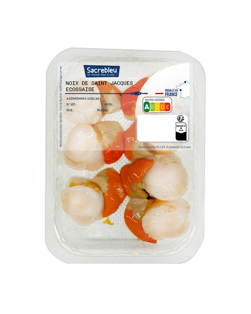 Saint Jacques et Pétoncle Ecossaise